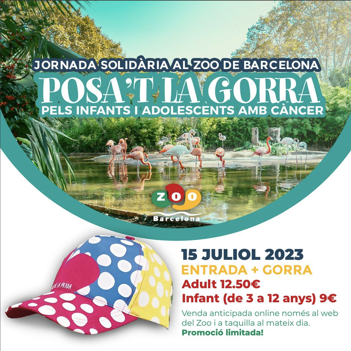 Jornada solidària al Zoo de Barcelona - Posa't la Gorra pels infants i adolescents amb Càncer